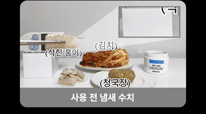 더티린넨 인도어이슈 실내 탈취제 300g 기획 (패브릭이슈 섬유 탈취제 50ml 증정) 상세페이지 13