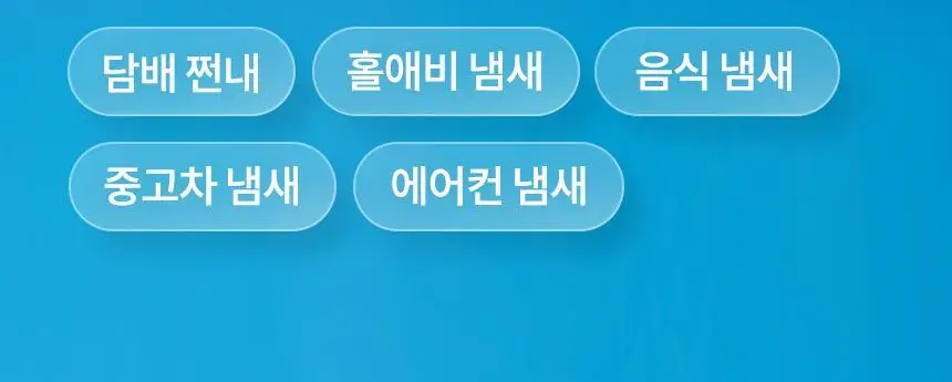 더티린넨 카이슈 차량탈취제 230g 기획 (패브릭이슈 섬유 탈취제 50ml 증정) 상세페이지 11
