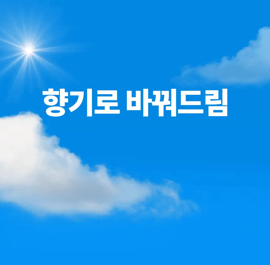 더티린넨 패브릭이슈 섬유탈취제 500ml 기획 (패브릭이슈 섬유 탈취제 50ml 증정) 상세페이지 8