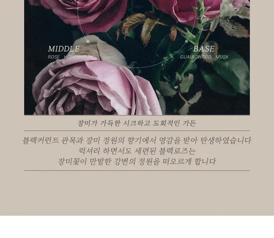 디오바스크 패브릭퍼퓸/213 디퓨저/포켓 샤쉐/듀얼 퍼포즈 디퓨저 16종 상세페이지 51
