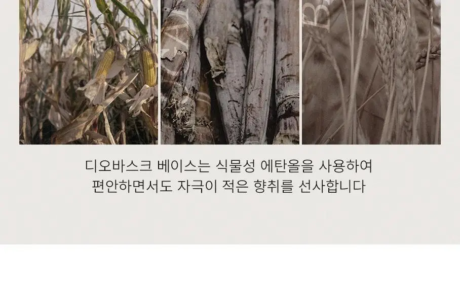 디오바스크 패브릭퍼퓸/213 디퓨저/포켓 샤쉐/듀얼 퍼포즈 디퓨저 16종 상세페이지 56