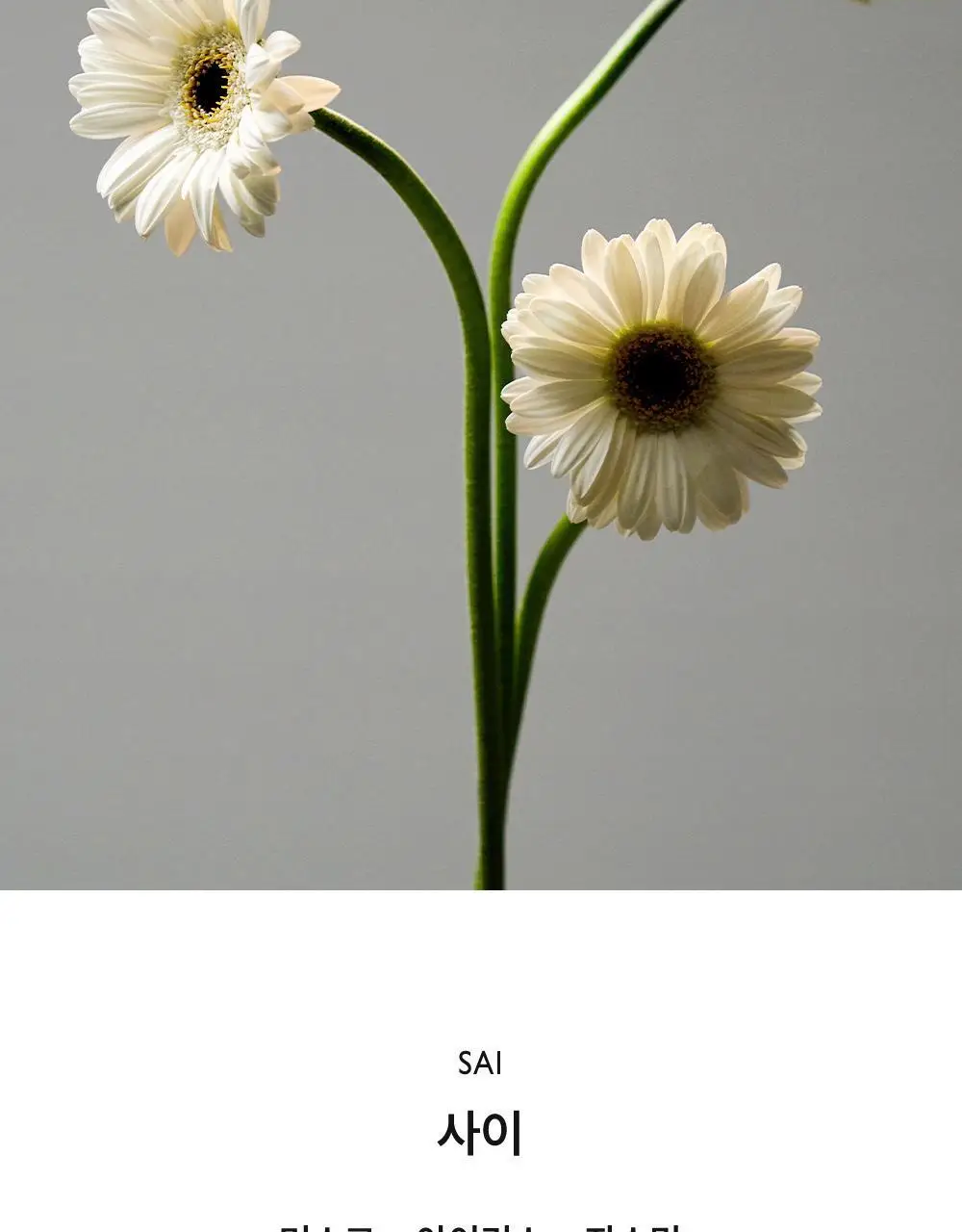 리베르 섬유향수 사이 100ml 상세페이지 7