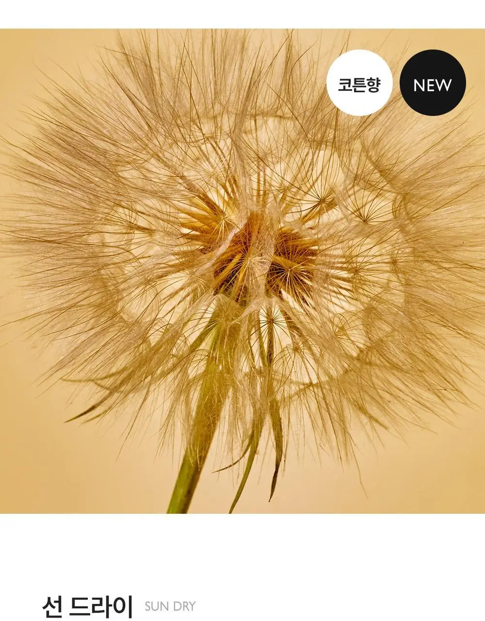 리베르 섬유향수 선드라이 100ml 상세페이지 5