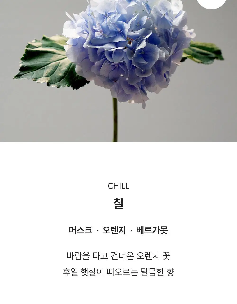 리베르 섬유향수 3종 택 1 상세페이지 10