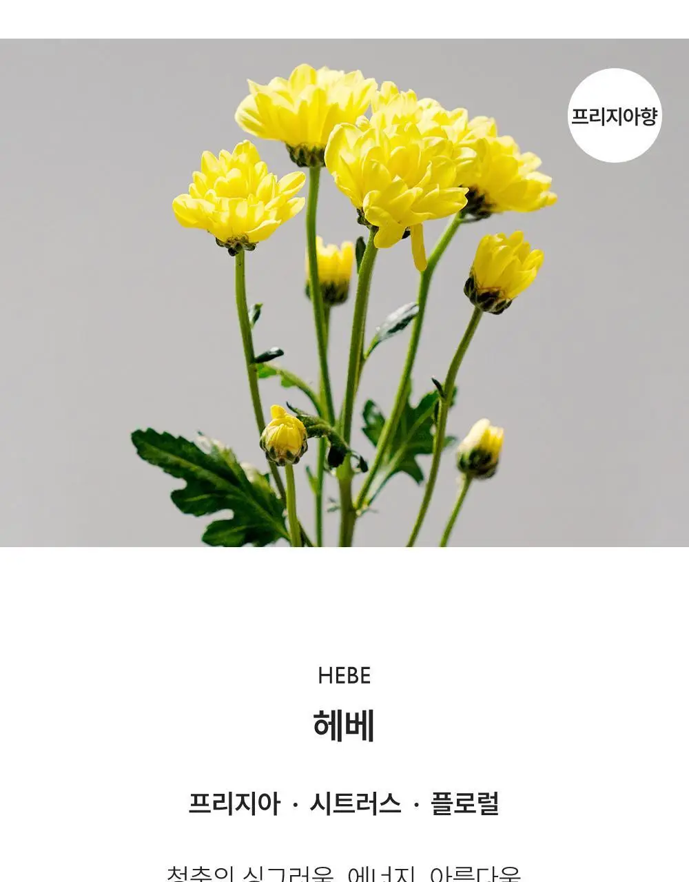 리베르 섬유향수 3종 택 1 상세페이지 11