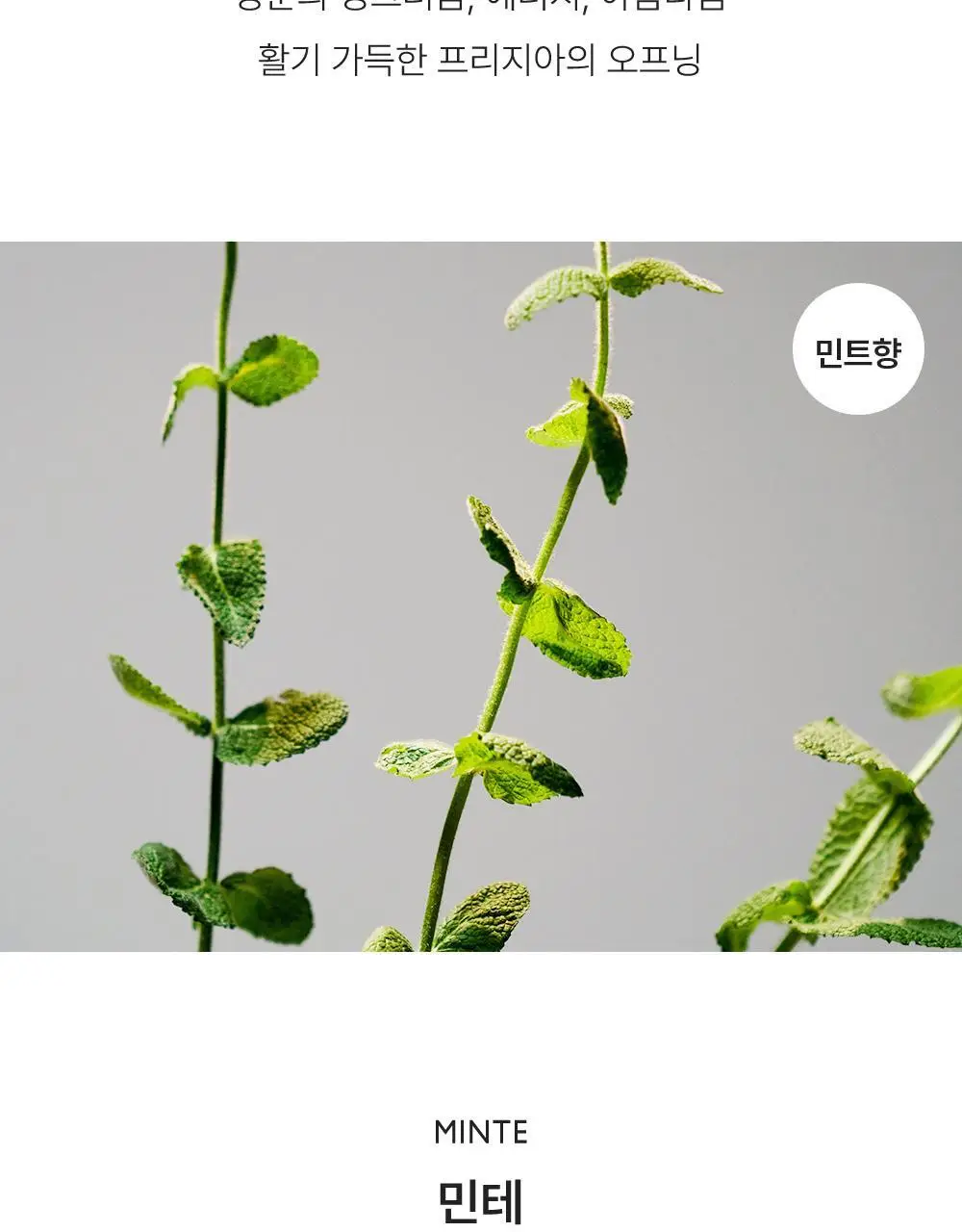 리베르 섬유향수 3종 택 1 상세페이지 12