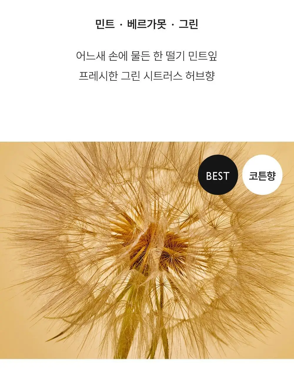리베르 섬유향수 3종 택 1 상세페이지 13