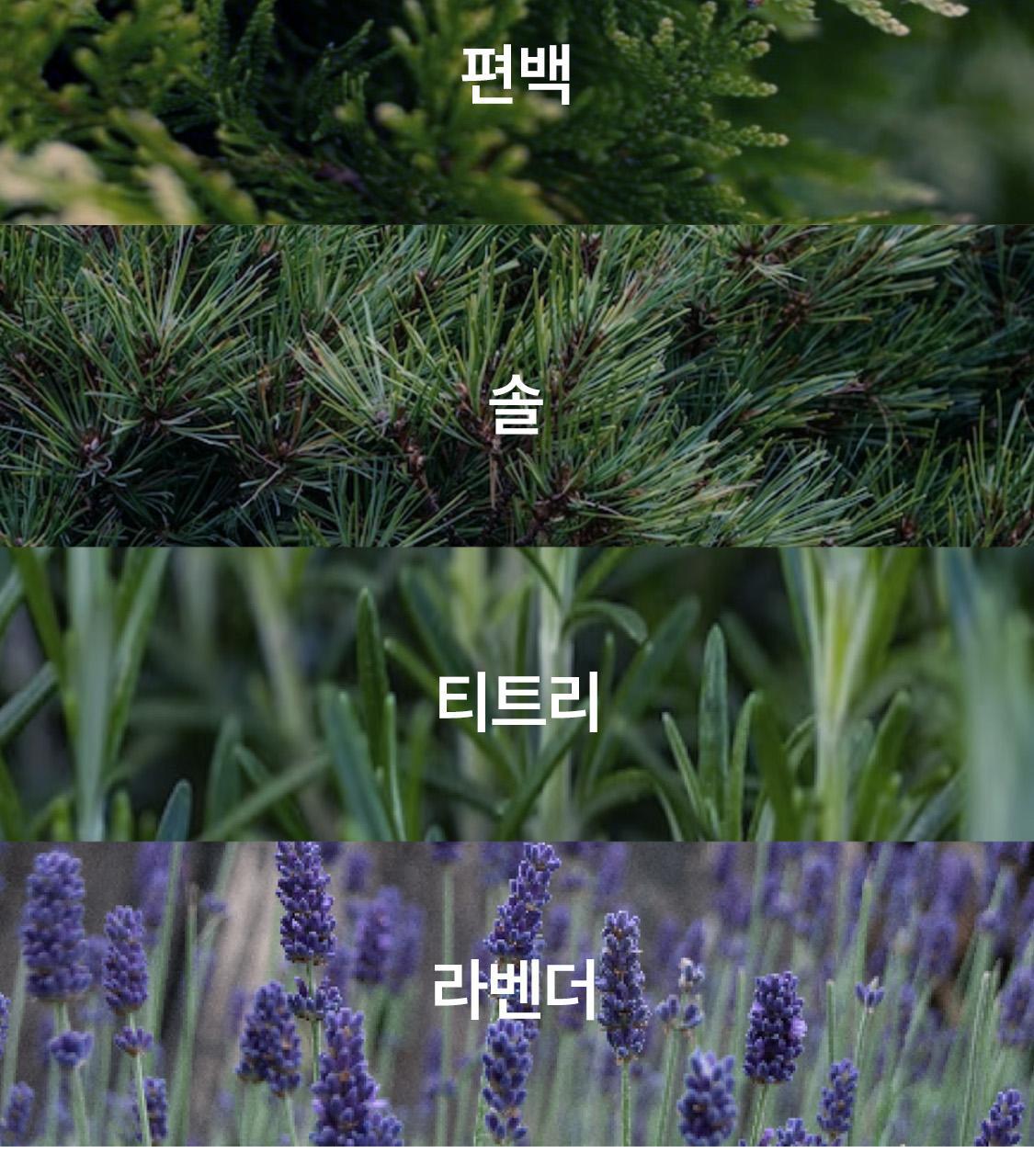리슬립 슬립 케어 농축 스프레이 리필 오일 캡슐 3개입 SET 상세페이지 59