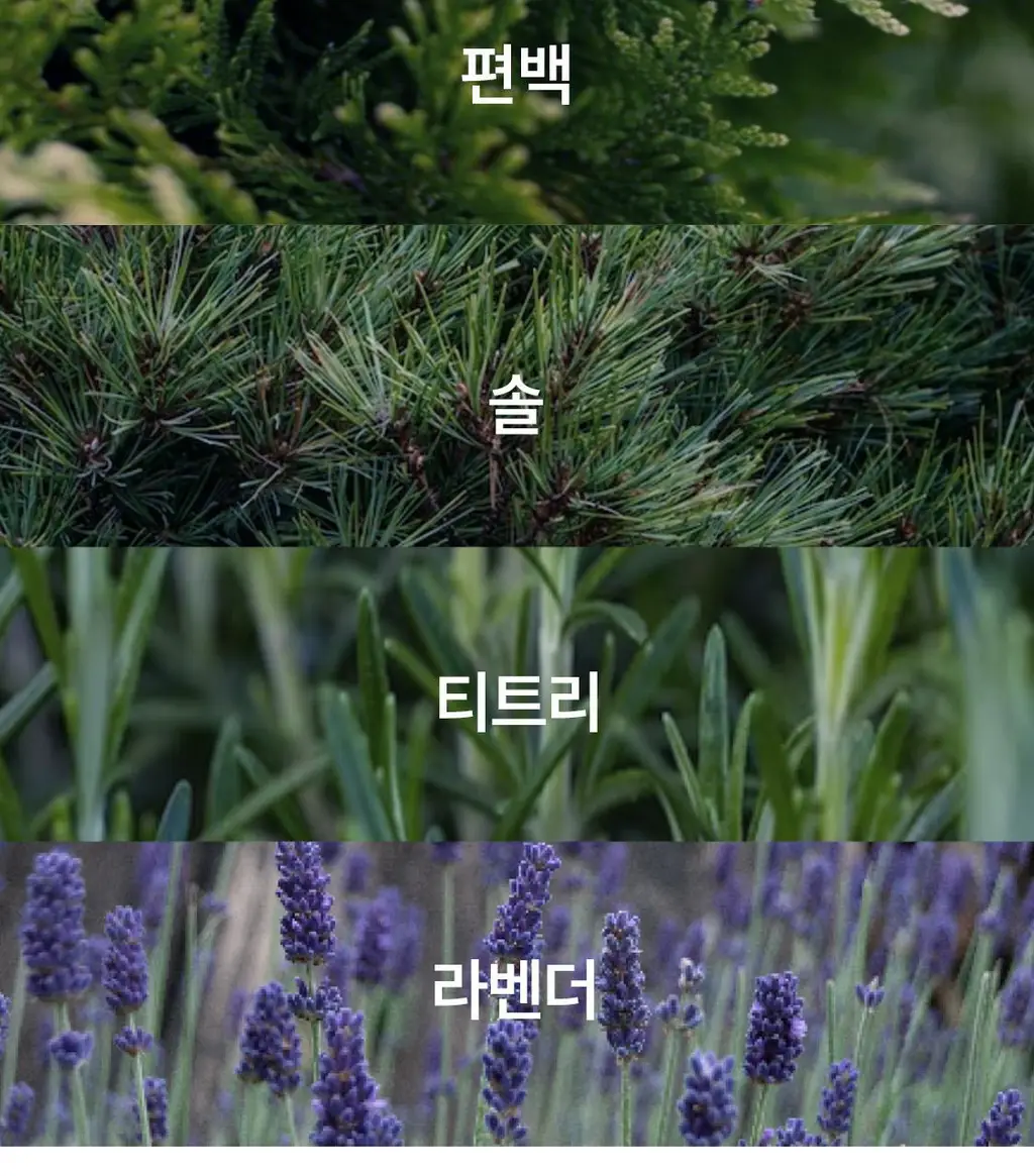 리슬립 슬립 케어 피톤치드 농축 스프레이 300ml(오일 3% 캡슐형) 상세페이지 26