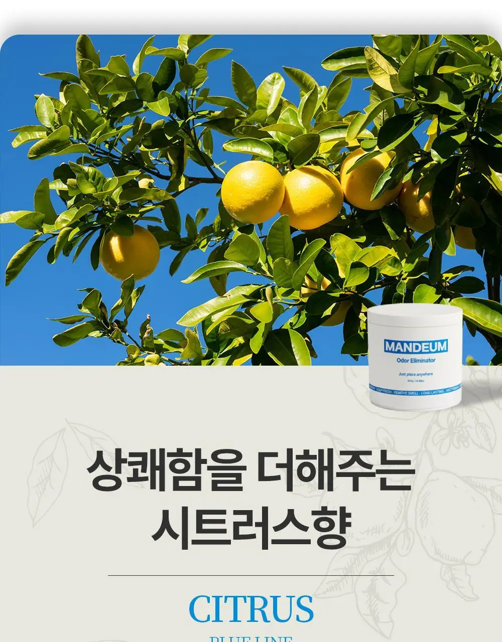 만듬 실내 탈취제 300g 3종 택 1 상세페이지 6