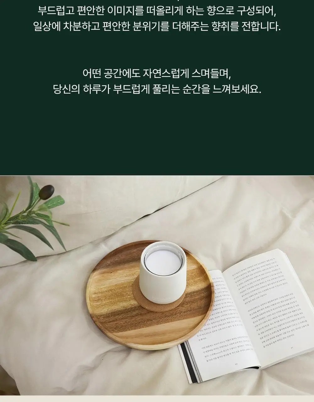 바스 프리미엄 오브제 탈취제 150g 상세페이지 31