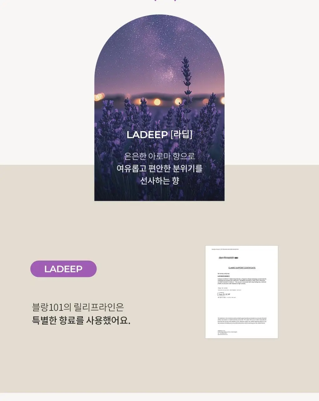 블랑101 필로우미스트 라딥 100mL 상세페이지 5