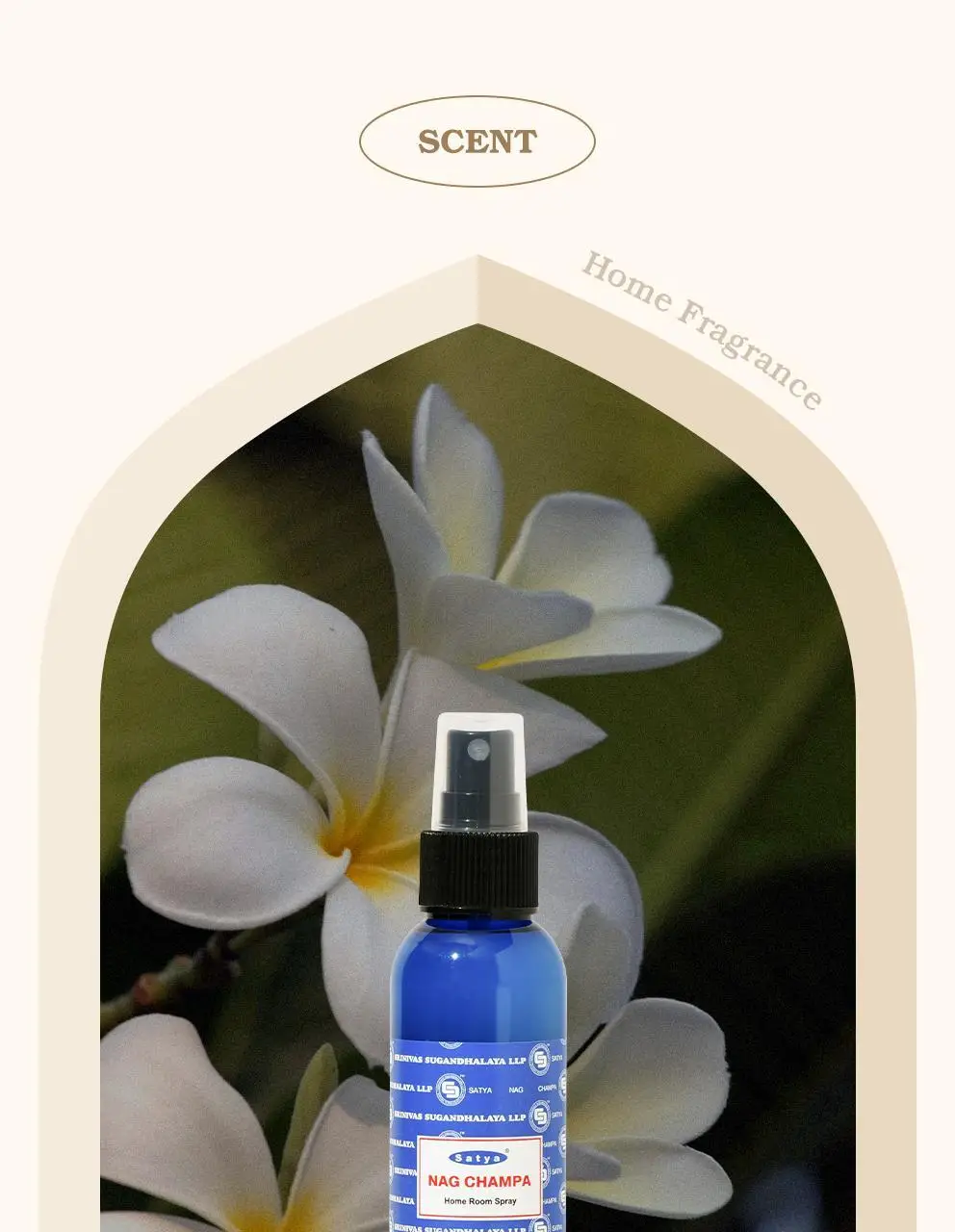 사티아 나그참파 룸 스프레이 120ml 상세페이지 15