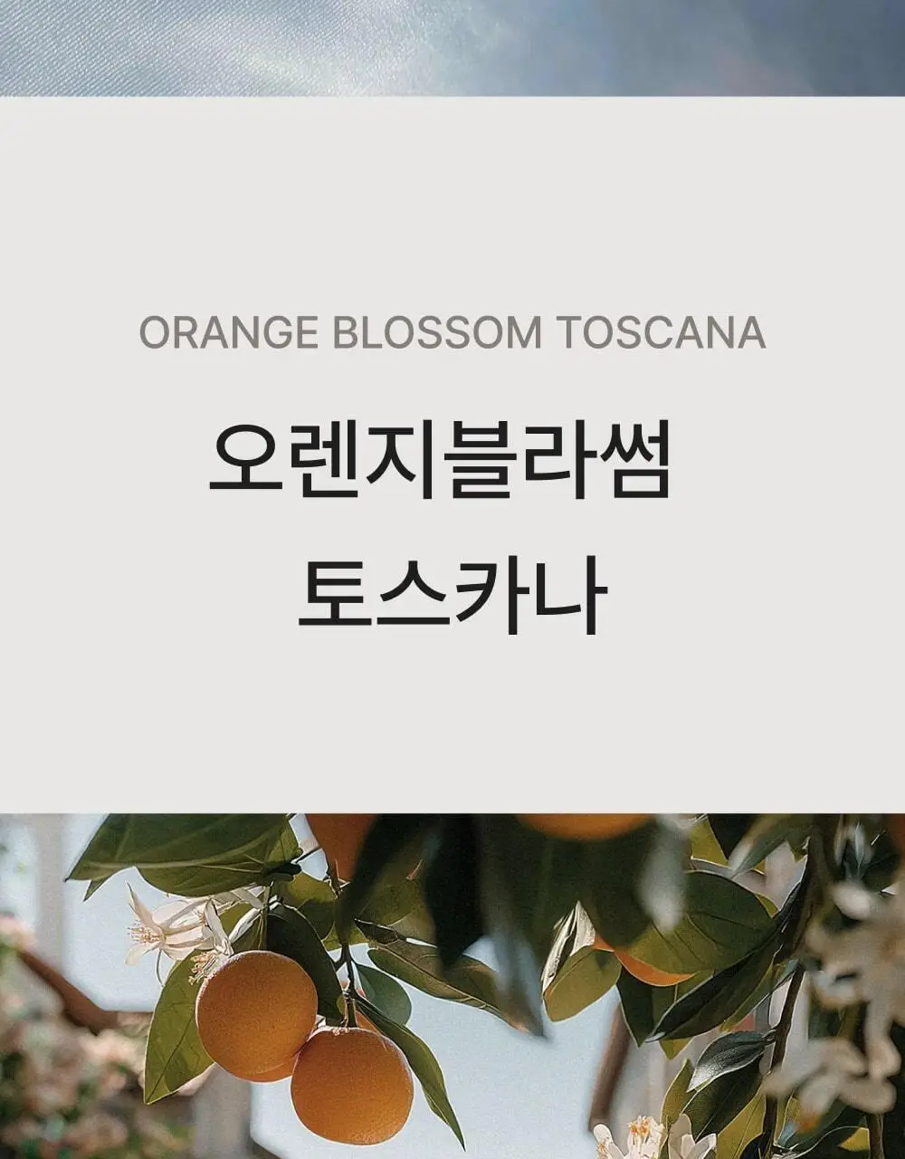 센틀리에 룸스프레이 200ml 아이스 오렌지블라썸 오 프레쉬 상세페이지 3
