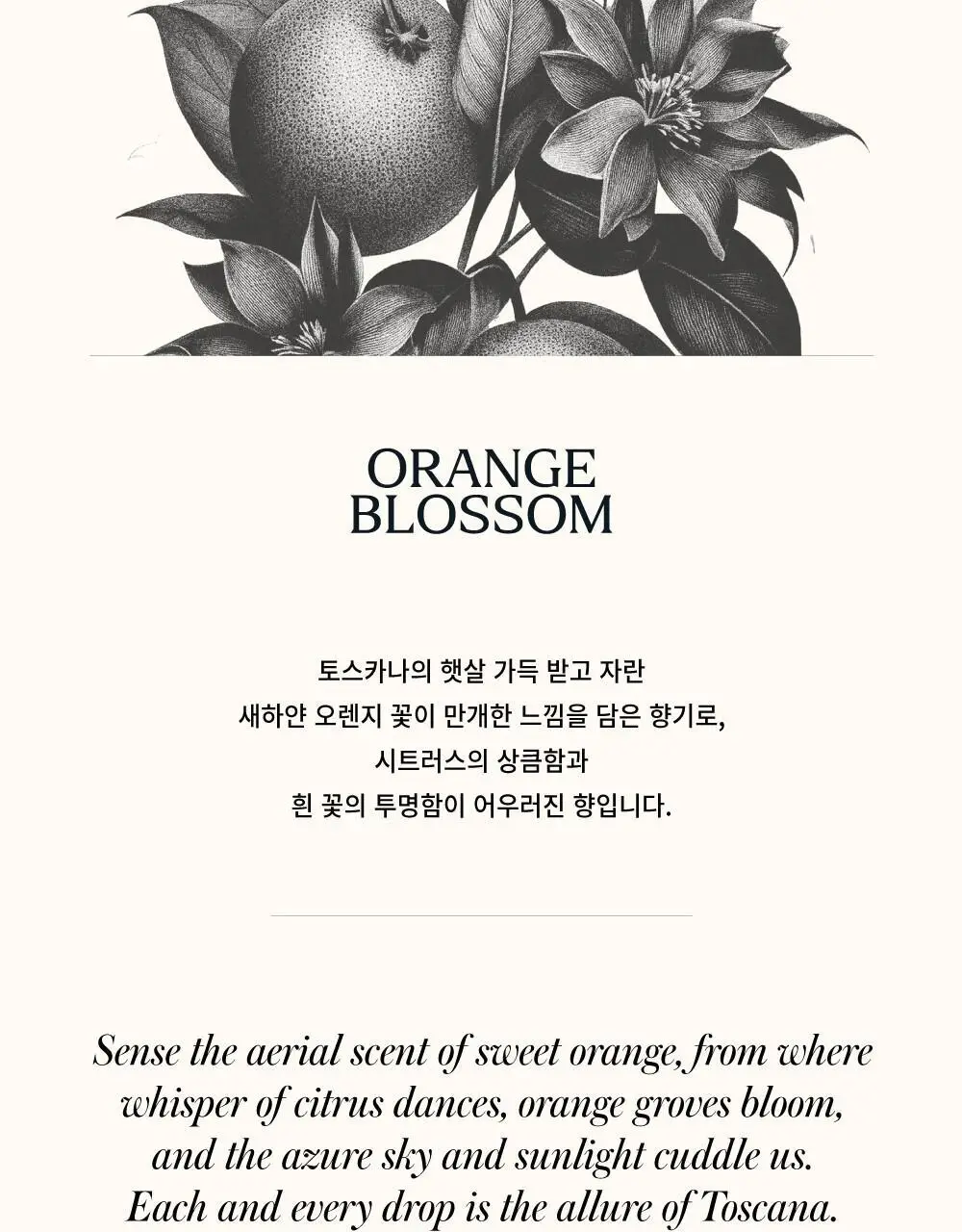 센틀리에 오 프레쉬 200ml 3종 상세페이지 4