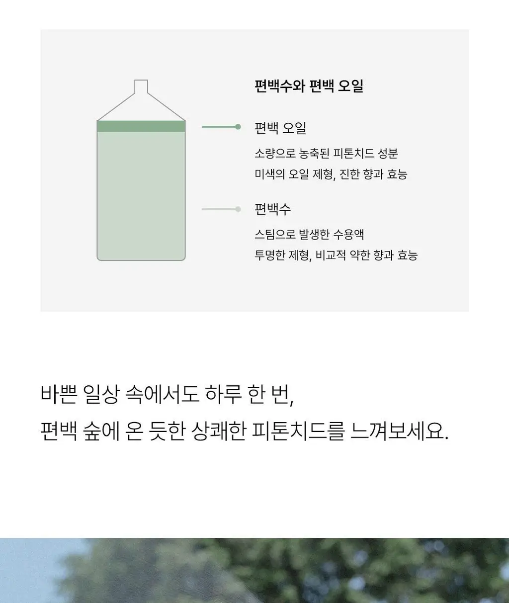 순백수 편백 스프레이 시리즈 7종 택 1 상세페이지 14