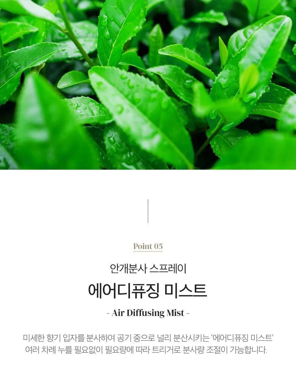 스너글 드림판타지/카밍 포레스트 룸스프레이 2종 택 1 상세페이지 10