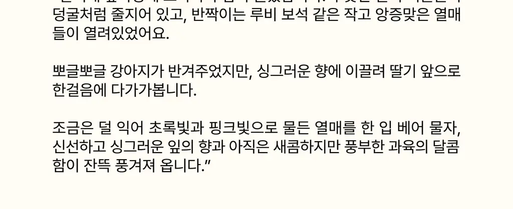 스침 섬유 공간 향수 200ml 단품/기획 19종 상세페이지 24