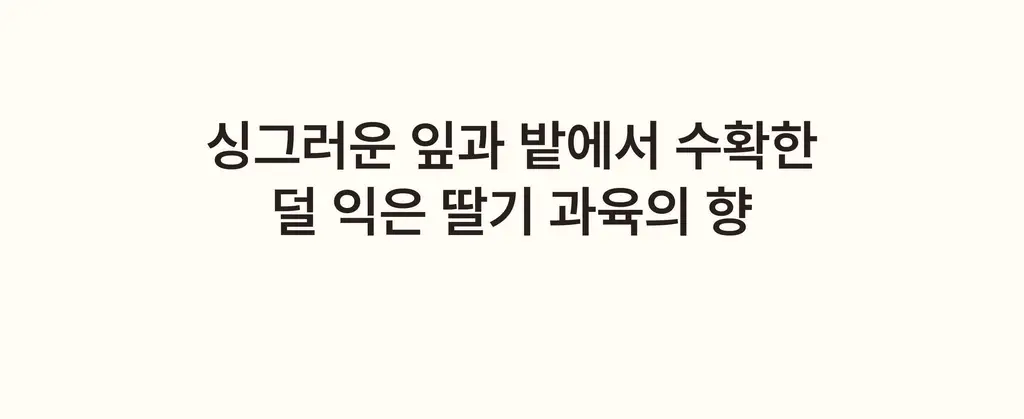 스침 섬유 공간 향수 200ml 단품/기획 19종 상세페이지 26