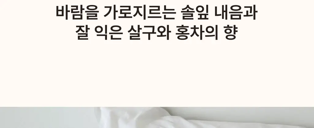 스침 섬유 공간 향수 200ml 단품/기획 19종 상세페이지 33