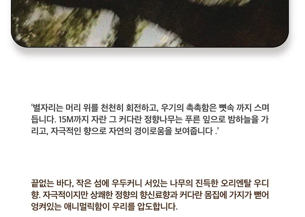 스침 섬유 공간 향수 200ml 더클로브 상세페이지 5