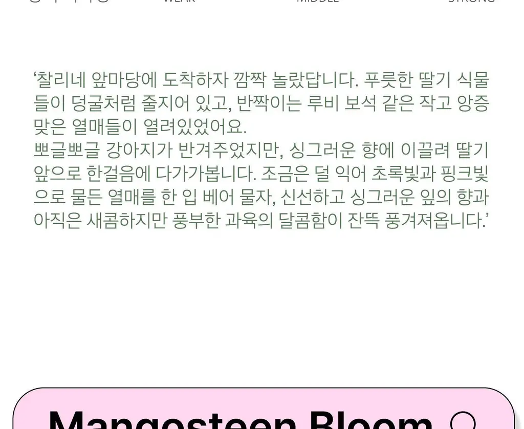 스침 섬유 공간 향수 200ml 듀오 (사워베리, 망고스틴블룸)+헤어 우유 퍼퓸 10ml 기획 상세페이지 13