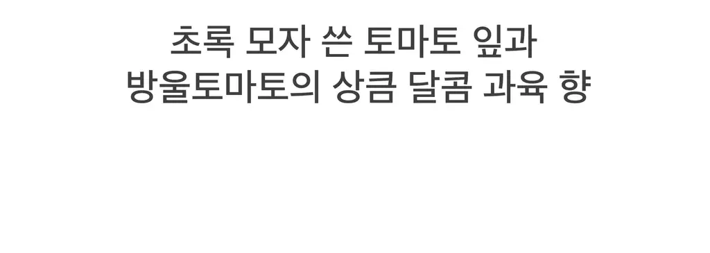 스침 섬유 공간 향수 200ml 리틀토마토 상세페이지 13