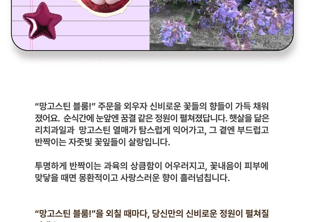 스침 섬유 공간 향수 200ml 망고스틴블룸 상세페이지 5