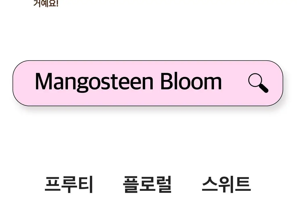 스침 섬유 공간 향수 200ml 망고스틴블룸 상세페이지 6