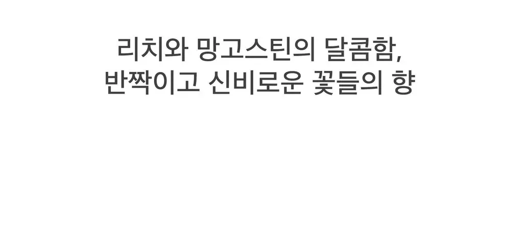 스침 섬유 공간 향수 200ml 망고스틴블룸 상세페이지 7