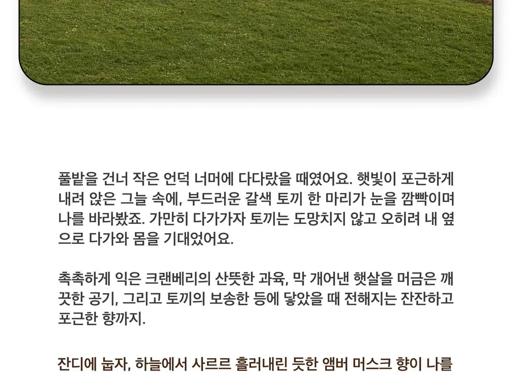 스침 섬유 공간 향수 200ml 버니 상세페이지 5