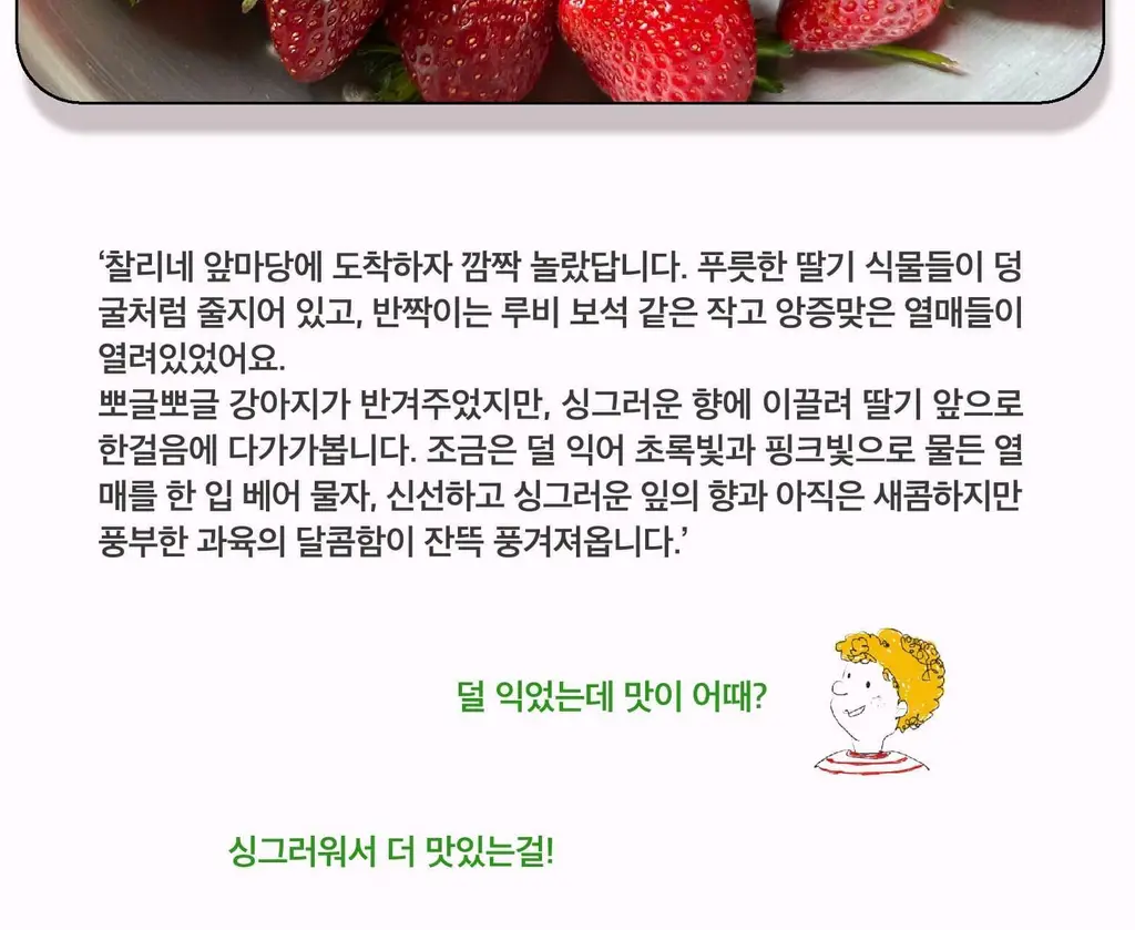 스침 섬유 공간 향수 200ml 사워베리 기획 (+페탈스 포켓 퍼퓸 30ml) 상세페이지 5