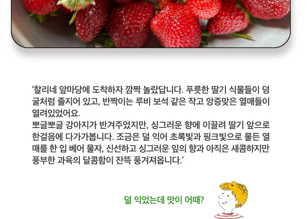 스침 섬유 공간 향수 200ml 사워베리 상세페이지 5