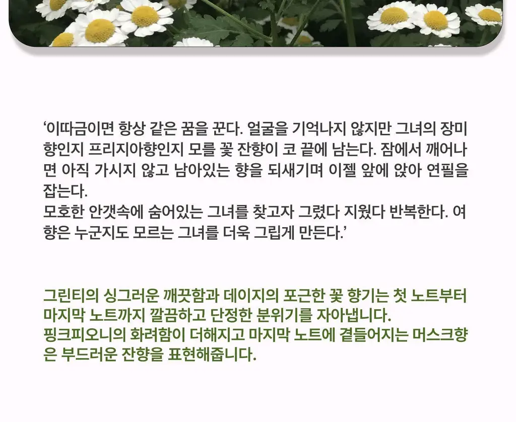 스침 섬유 공간 향수 200ml 오필리아 기획 (+페탈스 포켓 퍼퓸 30ml) 상세페이지 5
