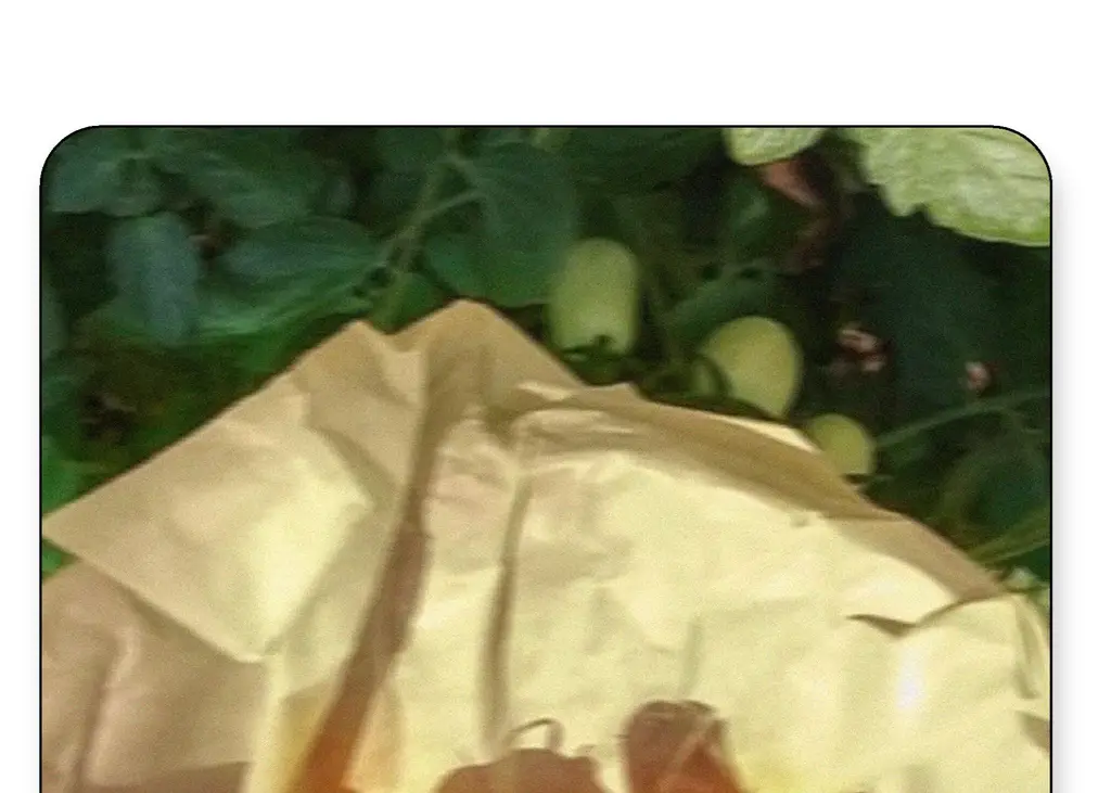 스침 섬유 공간 향수 200ml 토마트 잇 미엘 상세페이지 4