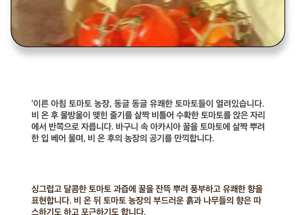 스침 섬유 공간 향수 200ml 토마트 잇 미엘 상세페이지 5