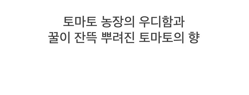 스침 섬유 공간 향수 200ml 토마트 잇 미엘 상세페이지 7