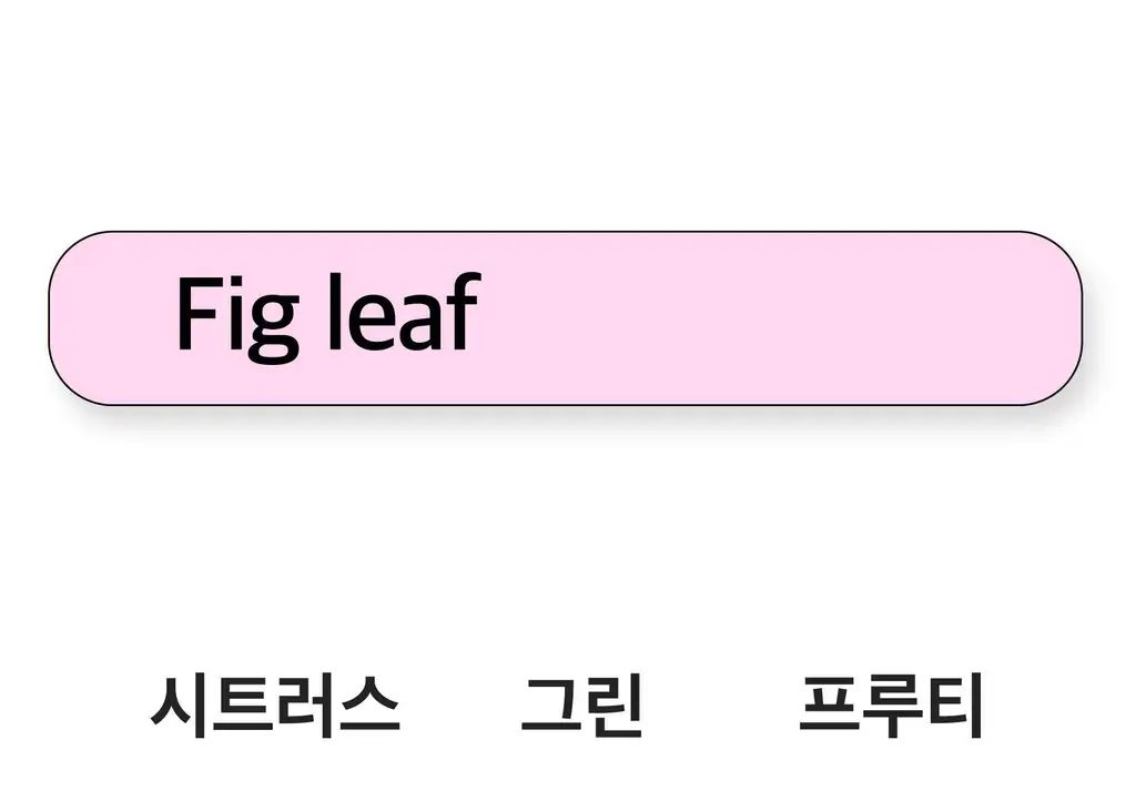 스침 섬유 공간 향수 200ml 피그리프 상세페이지 6