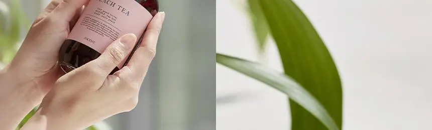 에이센트 섬유향수 네이처 드레스퍼퓸 소피프리지아 250ml 상세페이지 9