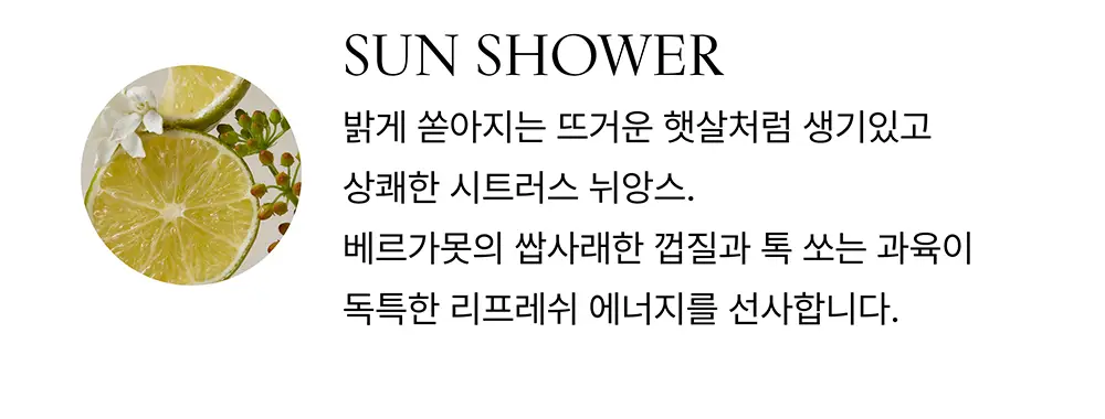 오센트 패브릭 리프레쉬 100ml 4종 택 1 상세페이지 9