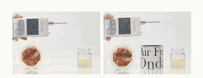 온다숲 힐링 고체탈취제 330g 우롱차향 상세페이지 8