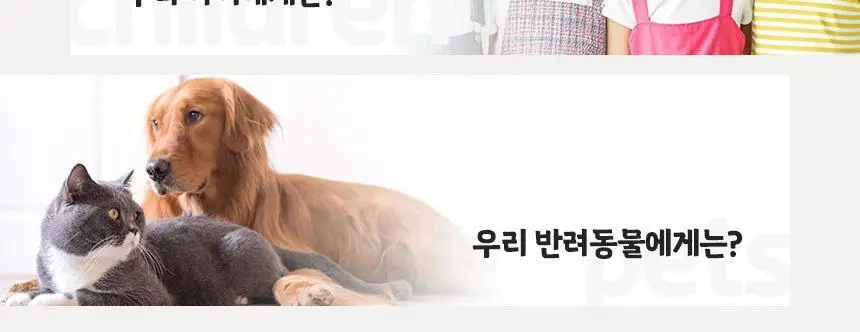 위프 고체탈취제 슬림 100g 2종 택1 상세페이지 31