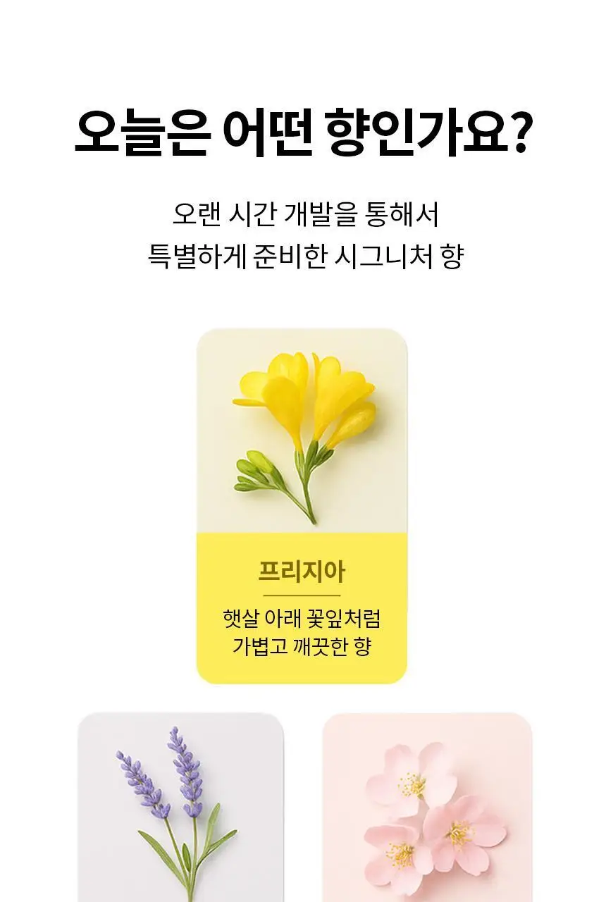 토퓸 천연 고체화장실방향제 30정 5종 택1 상세페이지 16