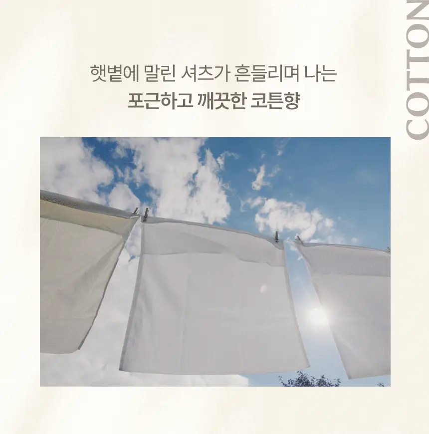 피에브 에어워셔 고체탈취제 코튼 250g 상세페이지 14