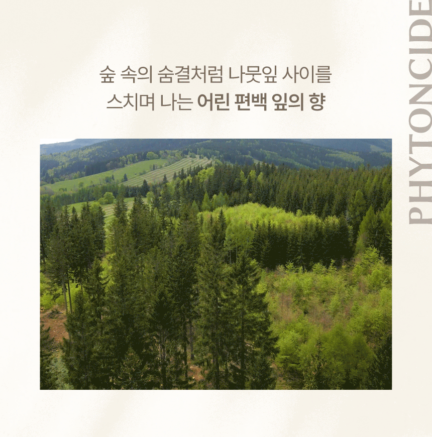 피에브 에어워셔 고체탈취제 피톤치드 250g 상세페이지 27