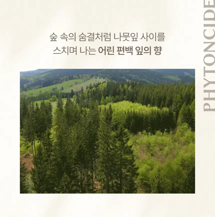피에브 에어워셔 고체탈취제 피톤치드 250g 상세페이지 28