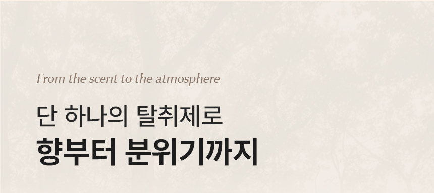 피에브 에어워셔 고체탈취제 피톤치드 250g 상세페이지 43