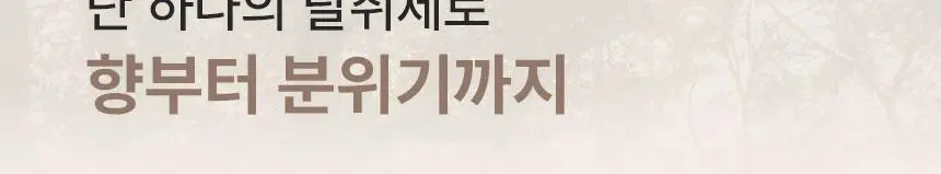 피에브 에어워셔 고체탈취제 250g 5종 (피톤치드/머스크/무향/코튼/블랙베리&베이) 상세페이지 25