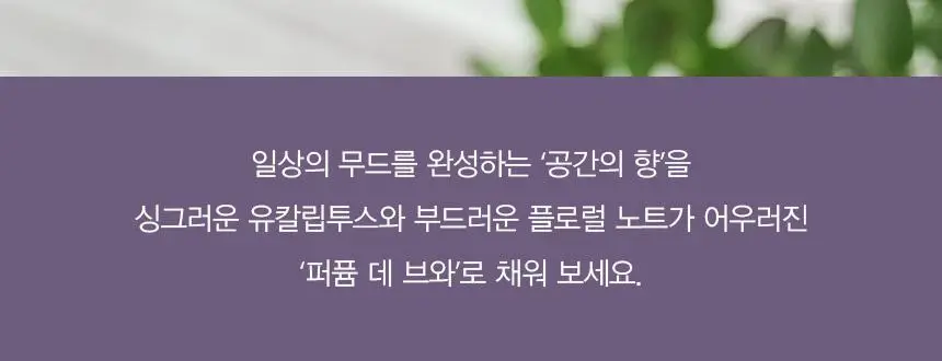 P Collection 더 플라자 호텔 룸앤패브릭 스프레이 50ml 상세페이지 2