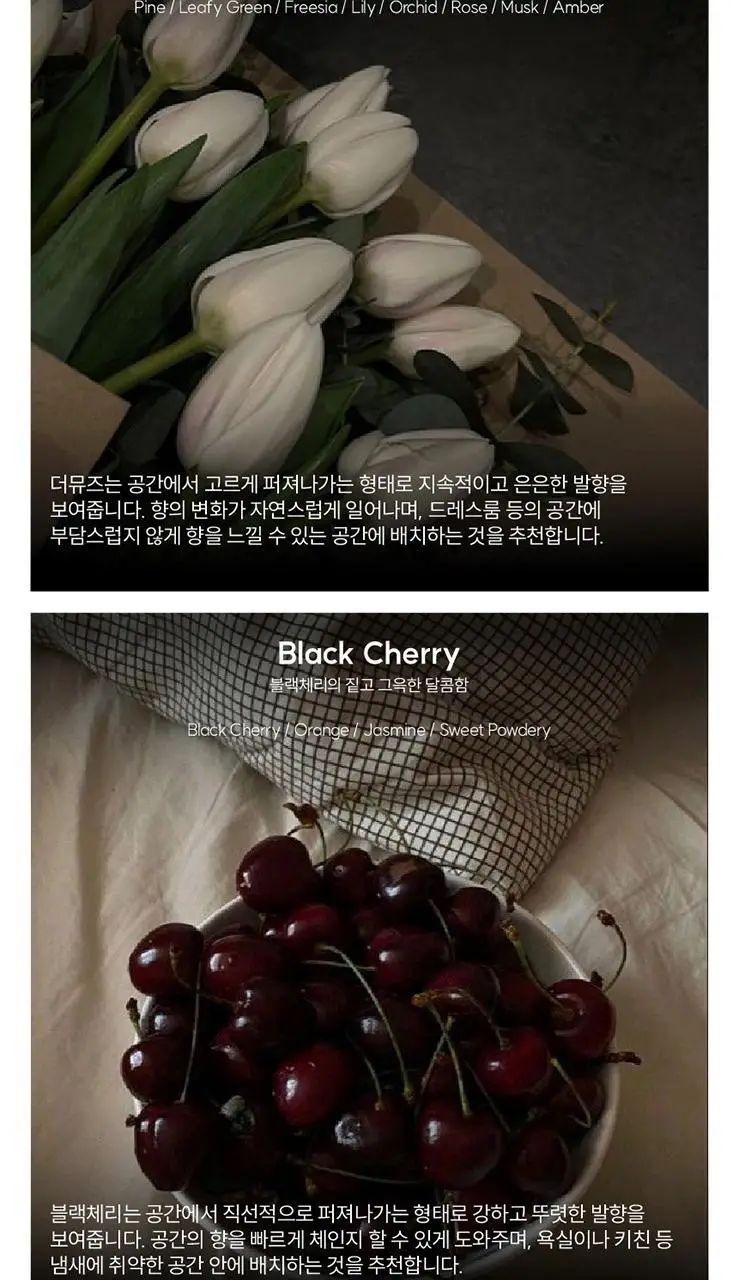 디프로젝트 카모 프래그런스 태그 종이 방향제 2종 택1 상세페이지 8